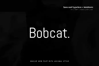 Bobcat Modern Typeface font