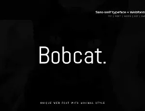 Bobcat Modern Typeface font