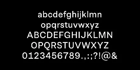 Allrounder Grotesk font