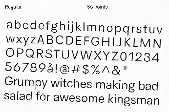 HK Concentrate Typeface font