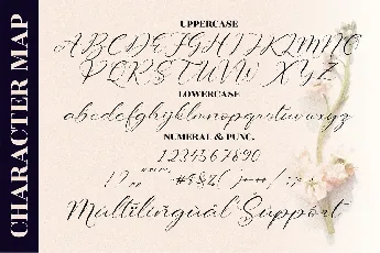 Sttevanie Barbara font