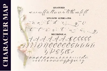 Sttevanie Barbara font