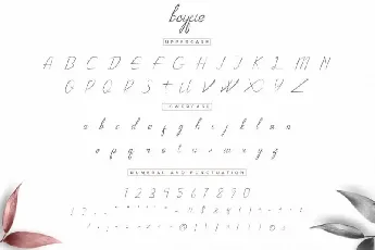 Boyfie Luxury Script font