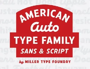 American Auto Duo font