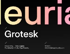 Neurial Grotesk Family font