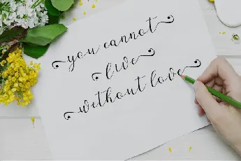 Alaycia Calligraphy font