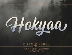 Hokyaa font