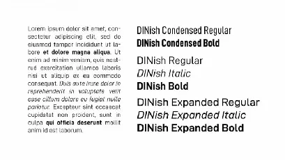 DINish Family font