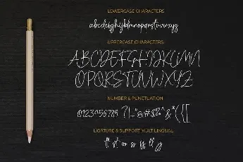 Cassual Signature font