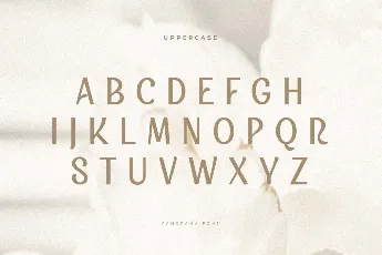 Panorama font