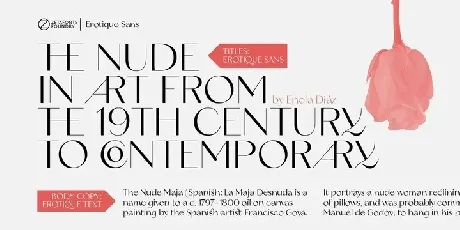 Erotique Sans Serif Demo font