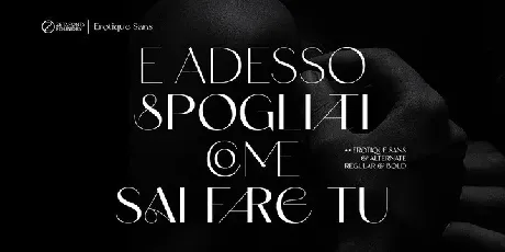 Erotique Sans Serif Demo font