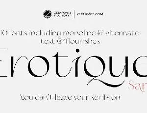 Erotique Sans Serif Demo font