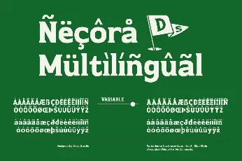 Necora Demo font