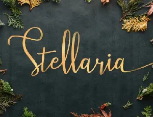 Stellaria Handwritten font