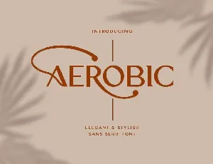 Aerobic font