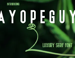 AYOPEGUY font