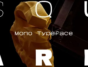 Square Mono Family font