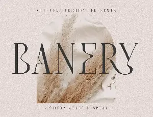 Banery font