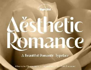 Aesthetic Romance font