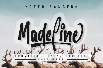 Wonderful Jungle FREE font