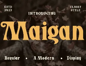 Maigan font