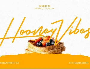 Hooney Vibes font