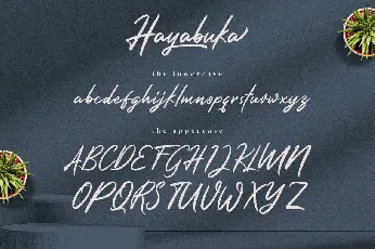 Hayabuka font