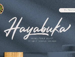 Hayabuka font