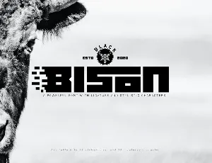 Black bison font