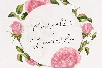 Roseline font