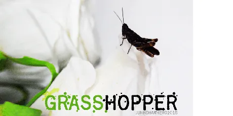 Grasshopper Z font