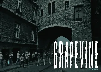 Grapevine font