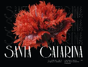 Santa Catarina font