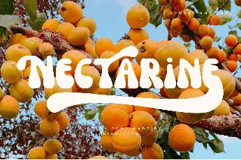 Nectarine DEMO font