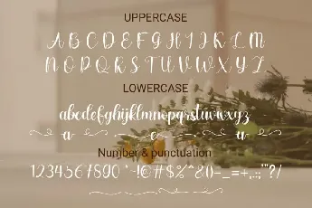 Falina sweet Calligraphy font