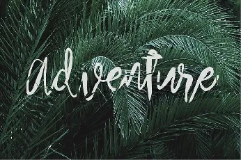 Arthard Script Free font