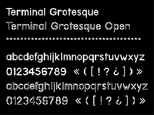 Terminal Grotesque font