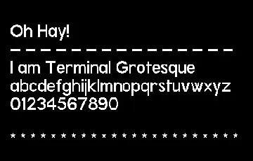 Terminal Grotesque font