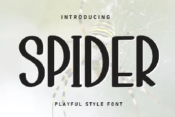 Spider Display font