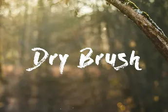 Dry Brush Free font