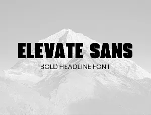 Elevate Sans font