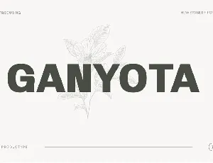 Ganyota Family font