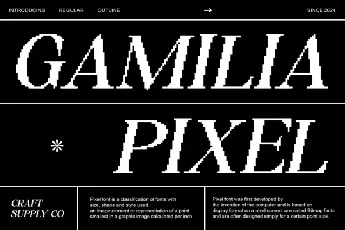 Gamilia Pixel font