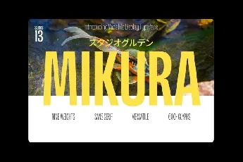 SG Mikura Family font