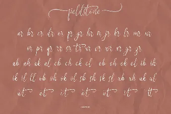 Fieldstone Demo font