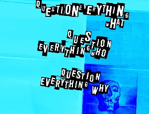 Question Everything font