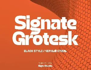 Signate Grotesk font