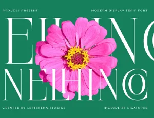 Nelhinco font