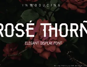 ROSE THORN font